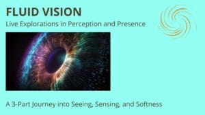 Fluid Vision: Explorers Path (3-class series)